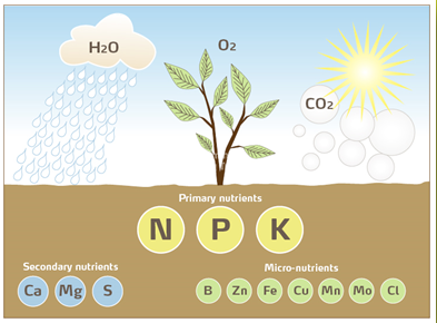 Hiệu Quả của Humic Substances Trong Việc Giảm Độ Cứng của Đất và Tăng Cường Sự Thoáng Khí
