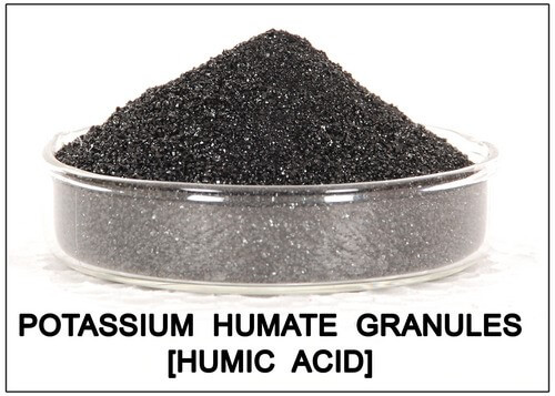 Acid humic là gì? Nguồn gốc, thành phần, đặc điểm và ứng dụng