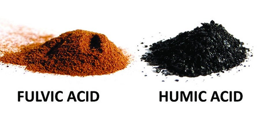 Những loại acid humic phổ biến và đặc tính của từng loại