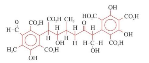 Sự Tương Tác Giữa Humic Substances và Các Loại Hệ Thống Rễ Đặc Biệt Trong Các Loại Cây Trồng Cỏ