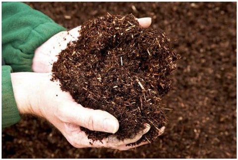 Acid humic và quản lý nước trong đất