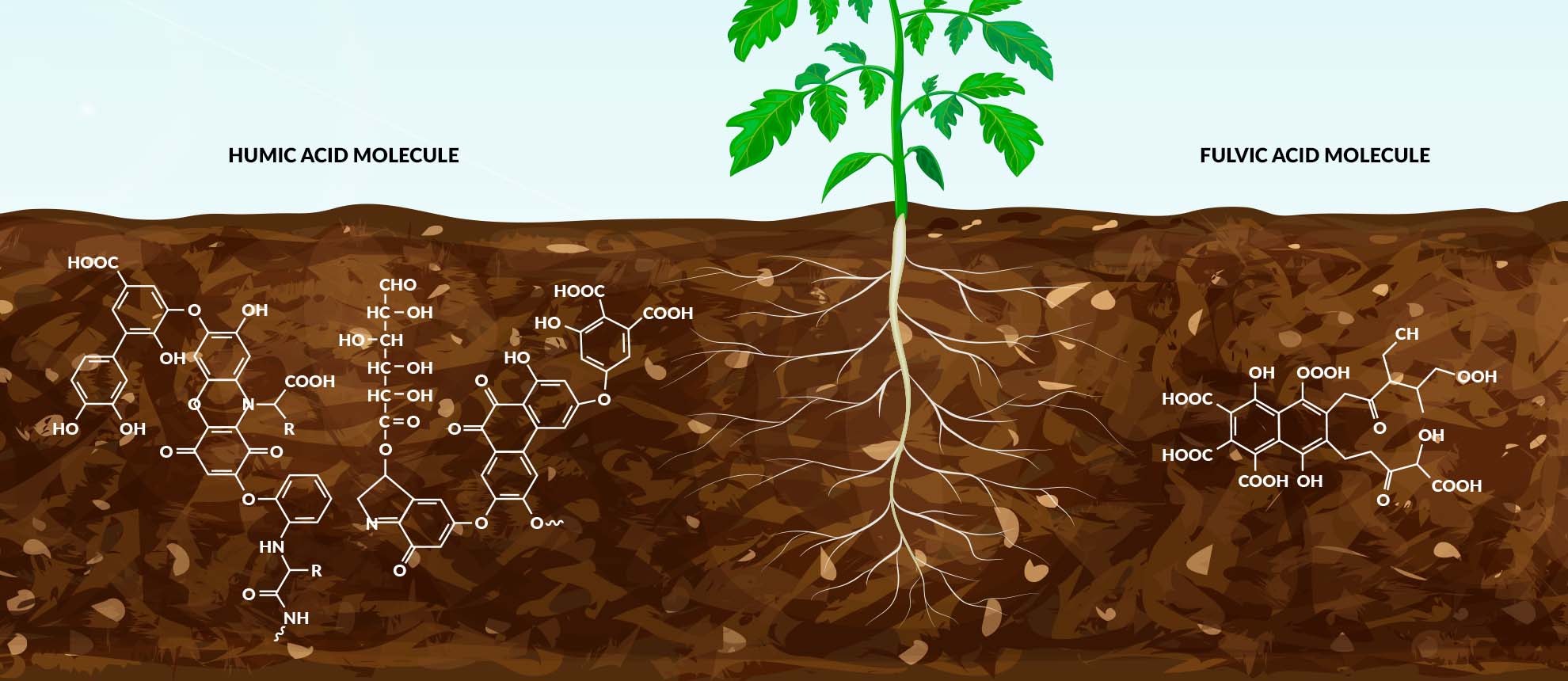 Acid humic và tái cấu trúc đất