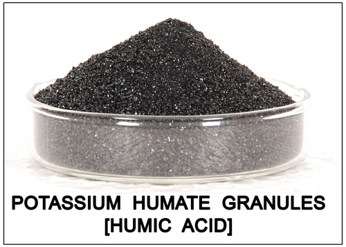 Hiệu quả sử dụng phân bón Humic cho cây hoa kiểng