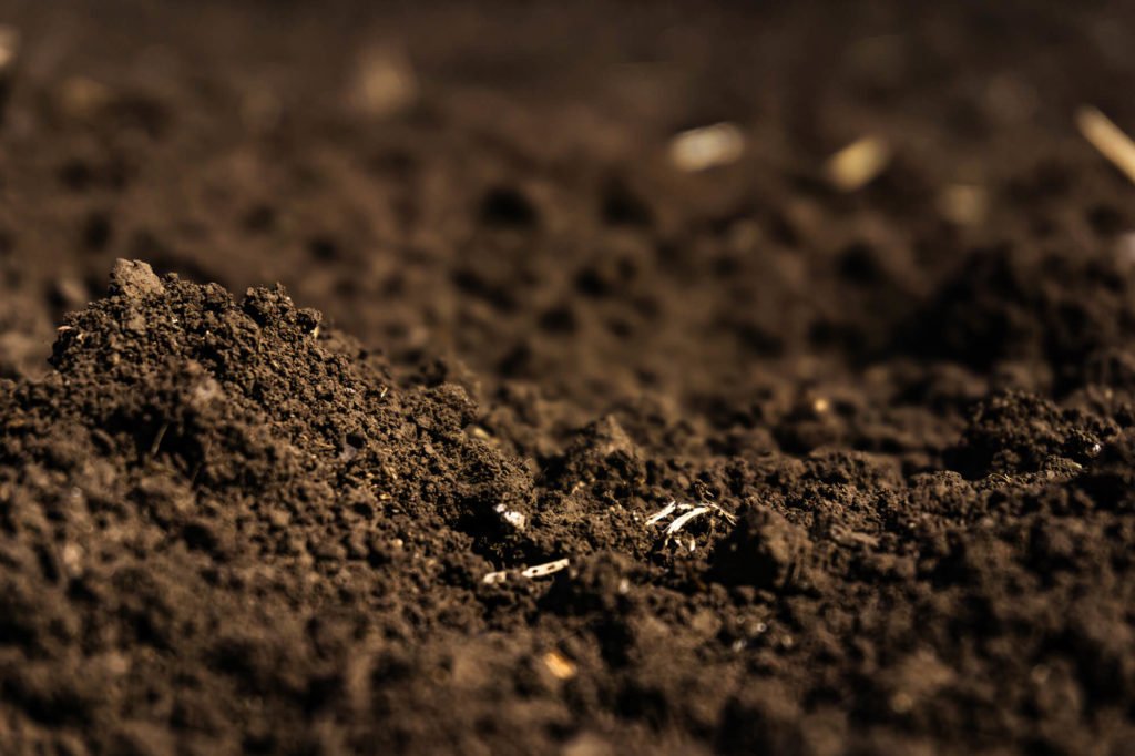 Humic cải thiện chất lượng đất trồng lúa