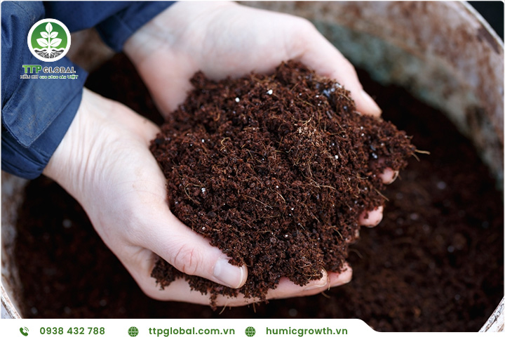 Tăng năng suất cây ăn quả bằng phân bón Humic
